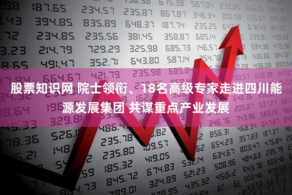 股票知识网 院士领衔、18名高级专家走进四川能源发展集团 共谋重点产业发展