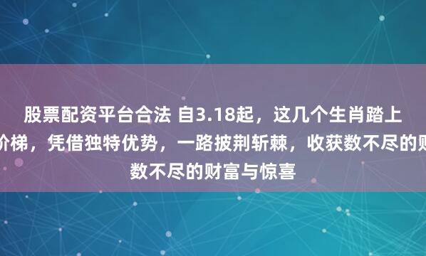 股票配资平台合法 自3.18起，这几个生肖踏上财富攀升阶梯，凭借独特优势，一路披荆斩棘，收获数不尽的财富与惊喜